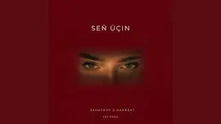 Seň &uuml;&ccedil;in