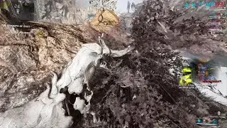 Warframe Horse