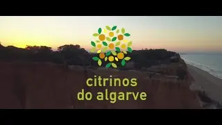 Citrinos do Algarve