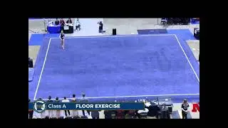 Individual State Floor 2025 ~ Calla Morris