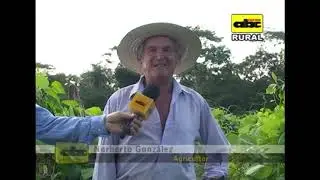Uso de abonos verdes y su importancia