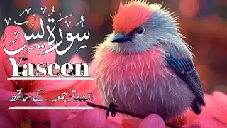 surah Yasin _surah yaseen beautiful voice/episode 00114