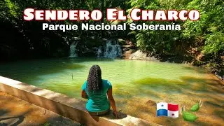 Sendero El Charco, Parque Nacional Soberanía🇵🇦🍃 |Michell Curly