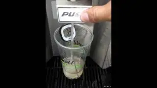 Netspray Lemonade machine www.slicesconcession.com