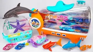 [🐠toy asmr🐟] Zuru Robo Turtle ＆ Sea Animal Toys ＆ Fish Tank Playset ASMR ⭐ Satisfying with Unboxing