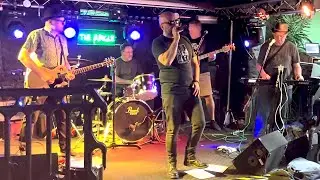 Bizarre Fish - Mr Brightside Live
