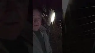 @MarkHamiltonquinn