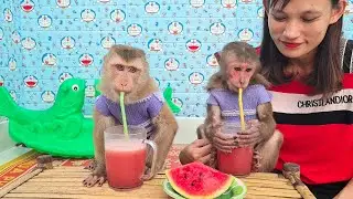 Sweet baby monkey love to drink Watermelon juice