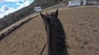 Equestrian Eventing - Working on combos...