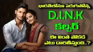 దేశంలో పెరిగిపోతున్న DINK లైఫ్ స్టైల్ |DINK Life Style | Double-Income-No-Kids  || ATV NEWS
