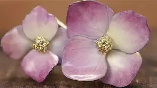 Nature Triomphante, Fleurs &Eacute;ternelles - 2018 High Jewelry Collection | Boucheron