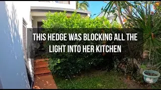 She Couldn’t Get Light in Her Kitchen… Until Now!