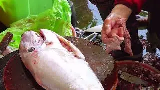 Filefish cutting#fishcutting_skills #fishcutting #indiafishcutting #fish #instafish #seafish