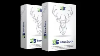 royal stock   review