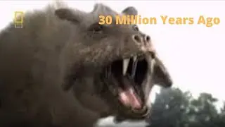 30 Million Years Ago A Natural History || National geographic Documentary || Prehistoric Earth