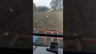 Landini Legend 130 | Ripuntatore