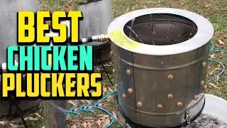 Top 10 Best Chicken Pluckers in 2025 Reviews