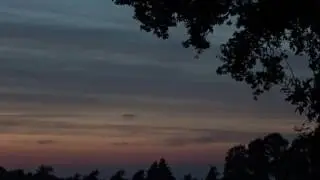 Kauwen op insecten