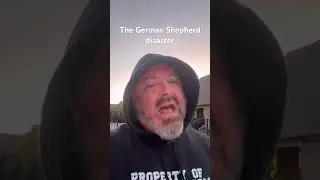 Несчастный случай с немецкой овчаркой