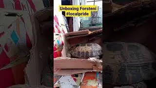 Unboxing Forsteni #localpride #unboxing #kurakura #forsteni