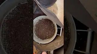 Worm Bin Harvest 🪱 #Wormbin #Compost #Garden #Vermicompost #Sustainability