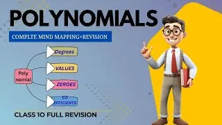 Polynomial Complete Revision Through Mind Map Class10 Chapter2
