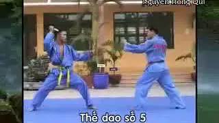 Vovinam Hoang đai   dao5