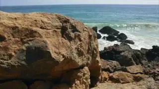 LOVE THY NATURE - Opening Scene