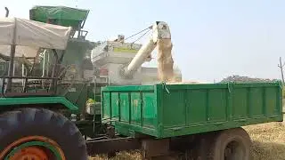 Harvesting paddy Kharid season 2024