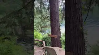 #deepcove #northvancouver #summers #camping