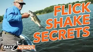 Flick Shake Secrets for Catching Bigger Bass - Bait School