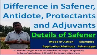 Difference in Safener, Antidote, Protectants and Adjuvants and Details of Safeners