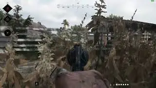 Hunt Showdown 2025 Highlights