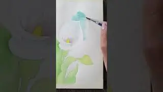 Backgrounds are tricky! 🎨