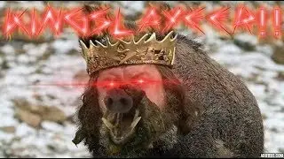 There's a BOAR comming