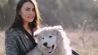 Women With Face Masks Petting Dogs episode 28 By  Agriculture TV