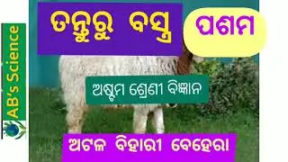 Fiber to fabric  (wool) in Odia