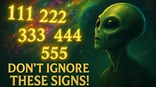 The Synchronicity Secret: Why The Universe Keeps Sending You The Same Signs