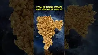 Crystal Gold Trigon  Specimen Round Mountain Gold Mine NV #shortsvideo #shorts