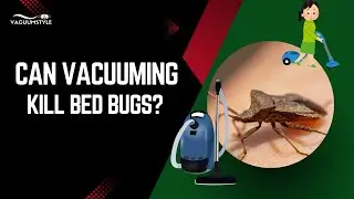 Can Vacuuming Kill Bed Bugs? 🚫 (Must Watch Before You Try!)