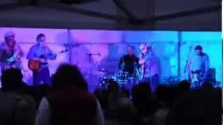 Greg Champion and The Useful Members of Society with Wilbur Wilde at the Eltham Jazz Festival 2014