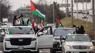 Pro-Palestine activists cause New Year's Day nightmare at JFK airport