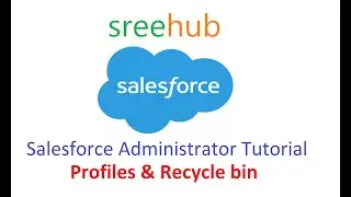 13 Salesforce Administration - Admin Profiles & Recycle bin