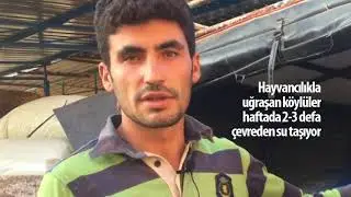 Koçarlı Esentepe'de su sıkıntısı! Vatandaşlar bidonla su taşıyor