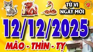 Tử vi tuổi M&Atilde;O - TH&Igrave;N - TỴ ng&agrave;y 12/12/2025 - H&oacute;a Giải Bế Tắc | Tử Vi Việt TV