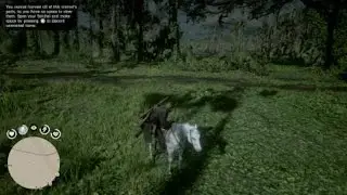 Red Dead Redemption 2 - Story Mode - A Roseate Spoonbill location