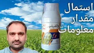 How to control broad leaf with Walter super 350ml. After 14 day