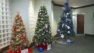 2024 Novant Health Matthews Medical Center Festival of Trees Celebration