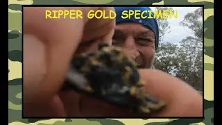 Big Gold Nugget Specimen, Cleaning & Weighing. (Episode 174)