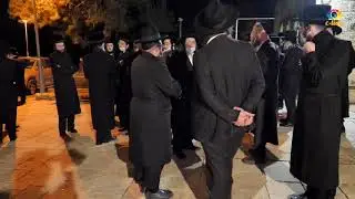 הלווית הרה